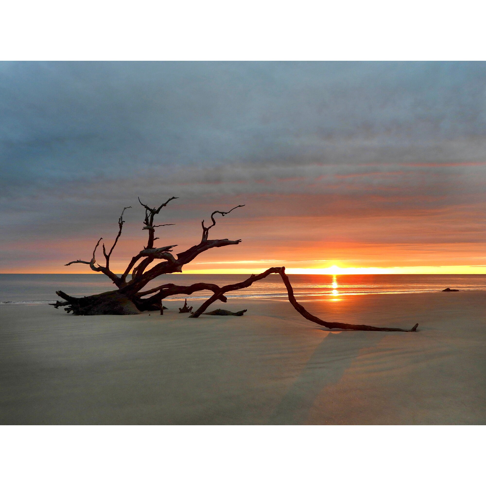 Driftwood Beach Sunrise, Jekyll Island, Georgia - Etsy, image size:2000x2000