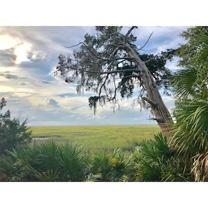 Marshes of Glynn ~ Coastal Georgia