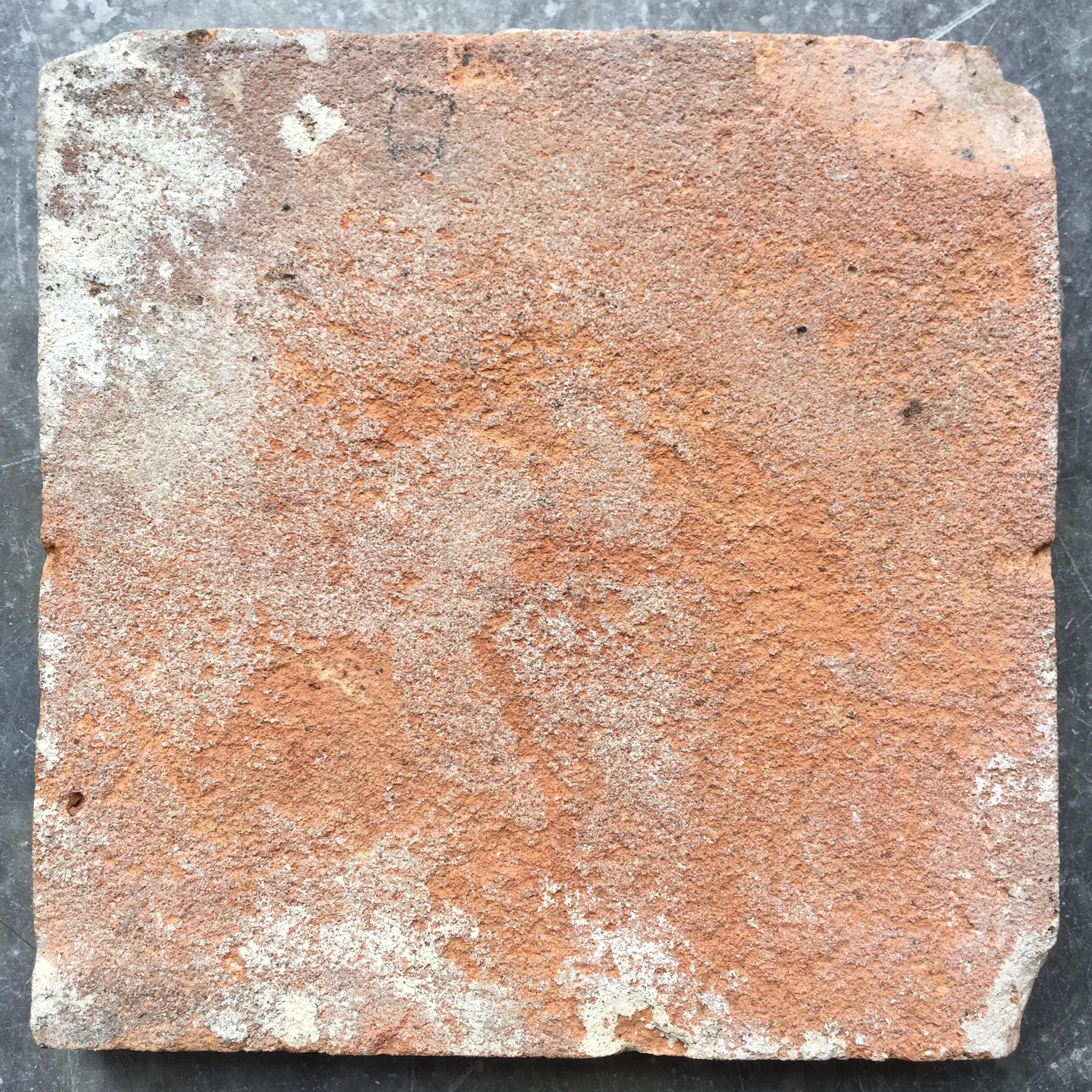 希少なアンティーク 17 世紀オランダ デルフト タイル ウサギ - Etsy 日本