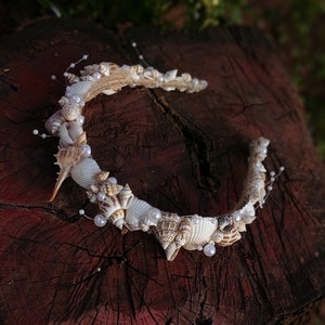 May include: A white seashell headband with pearl accents. The headband is made of natural seashells and is perfect for a beach wedding or a summer party.