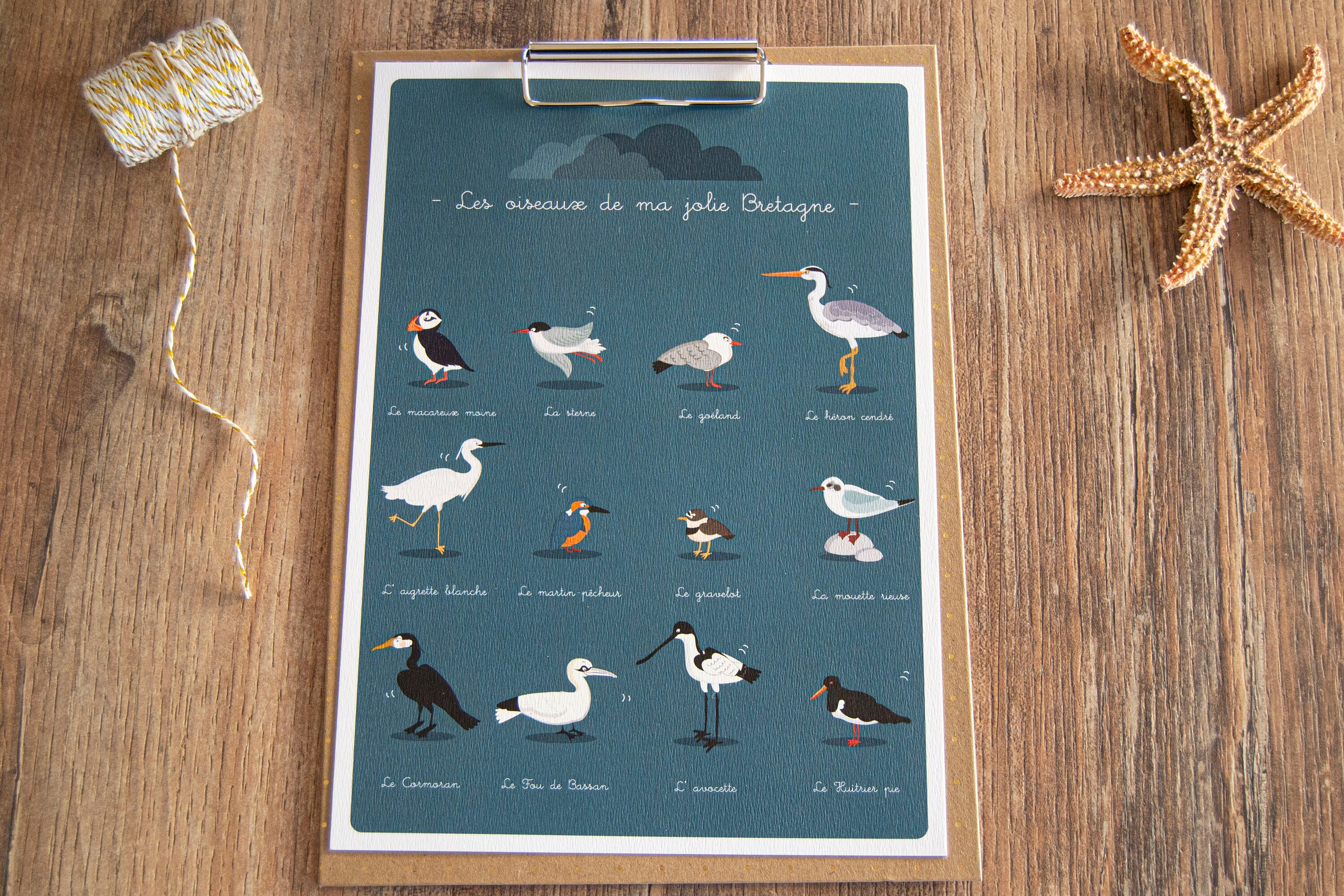 Affiche sur Les Oiseaux/A4