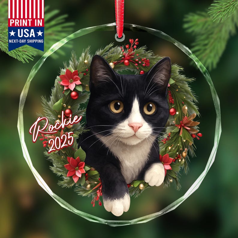 Personalized Tuxedo Cat Christmas Ornament 2025, Black and White Tuxedo ...