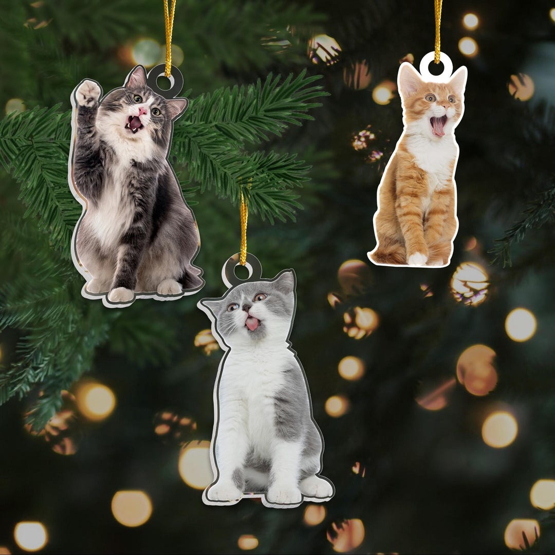 Custom Photo Cat, Personalized Photo Cat Christmas Ornaments 2025, Cat ...