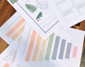 Learn the Basics of Taxonomic Classification - for kids