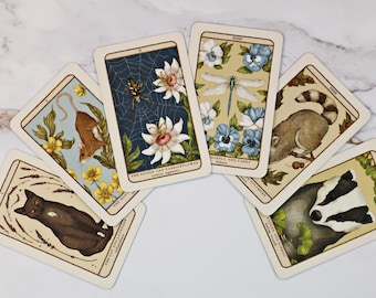 Op de afbeelding: Een verzameling tarotkaarten met illustraties geïnspireerd op de natuur. Elke kaart toont een uniek ontwerp, waaronder een spinnenweb met een spin, een libelle, een wasbeer, een das, een kat en een muis, allemaal omringd door bloemmotieven.