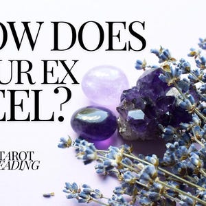 How Does Your Ex Feel?-TAROT READING
