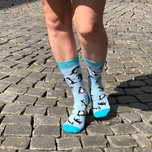 Cool novelty socks for animal lover, Penguin socks - Cute socks gift for women penguin lover, Crazy socks
