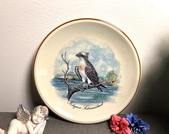 Rare find- bird collector's plate osprey plate,annaburg Germany vintage, limited edition, collectors decorative plate fiskgjuse plate