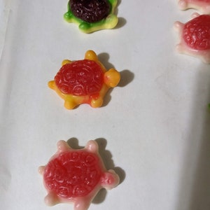 6 Oz. Lil' Sugar Mama's Sea Jelly Filled Sea Turles Gummy. Aquatic ...