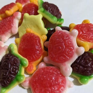 6 Oz. Lil' Sugar Mama's Sea Jelly Filled Sea Turles Gummy. Aquatic ...