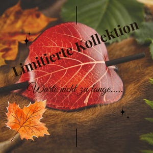 May include: A red leaf-shaped hair accessory with a black stick pin. The accessory has the text "Limitierte Kollektion" and "Warte nicht zu lange..." on it. The accessory is on a brown surface with autumn leaves.