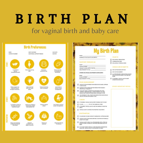 Printable Birth Plan Labor Guide From a Labor and Delivery - Etsy