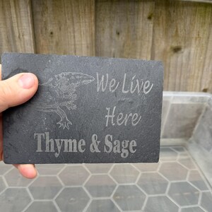 Axolotl 14x9cm Laser engraved untreated slate Plaque Vivarium and Totally Aquarium Friendly free p&p image 16