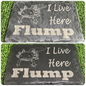 Axolotl 14x9cm Laser engraved untreated slate Plaque Vivarium and Totally Aquarium Friendly free p&p image 3