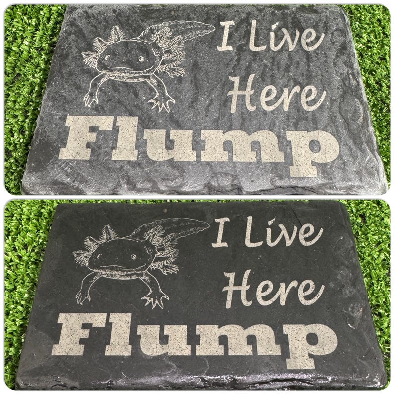 Axolotl 14x9cm Laser engraved untreated slate Plaque Vivarium and Totally Aquarium Friendly free p&p image 3