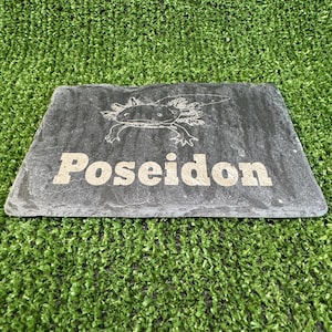 Axolotl 14x9cm Laser engraved untreated slate Plaque Vivarium and Totally Aquarium Friendly free p&p Single Name/Image