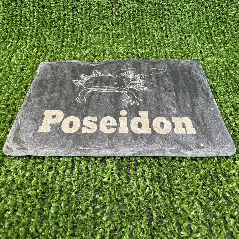 Axolotl 14x9cm Laser engraved untreated slate Plaque Vivarium and Totally Aquarium Friendly free p&p Single Name/Image