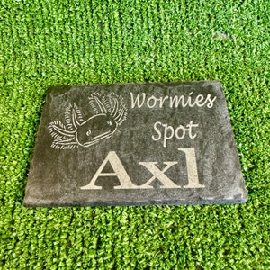 May include: A black slate sign with the words "Wormies Spot Axl" engraved in white. The sign also features a drawing of an axolotl.