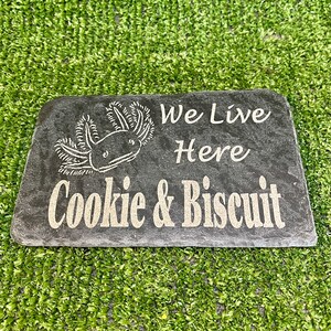 May include: A black slate stone sign with the text "We Live Here Cookie & Biscuit" and a white axolotl illustration.