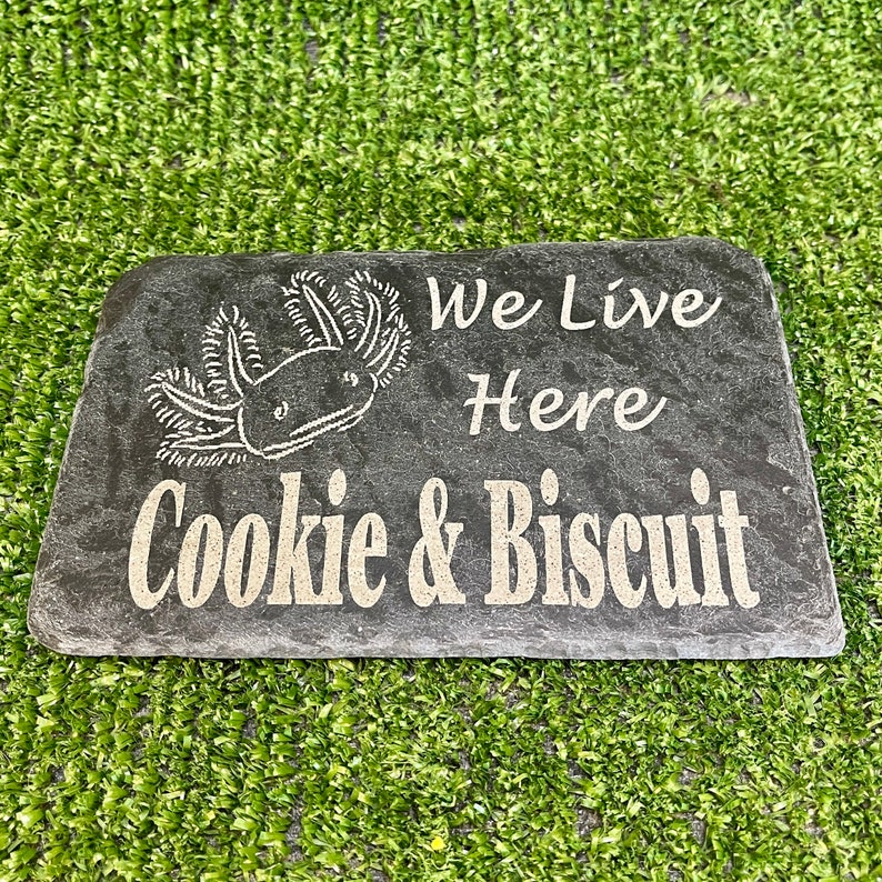 May include: A black slate stone sign with the text "We Live Here Cookie & Biscuit" and a white axolotl illustration.