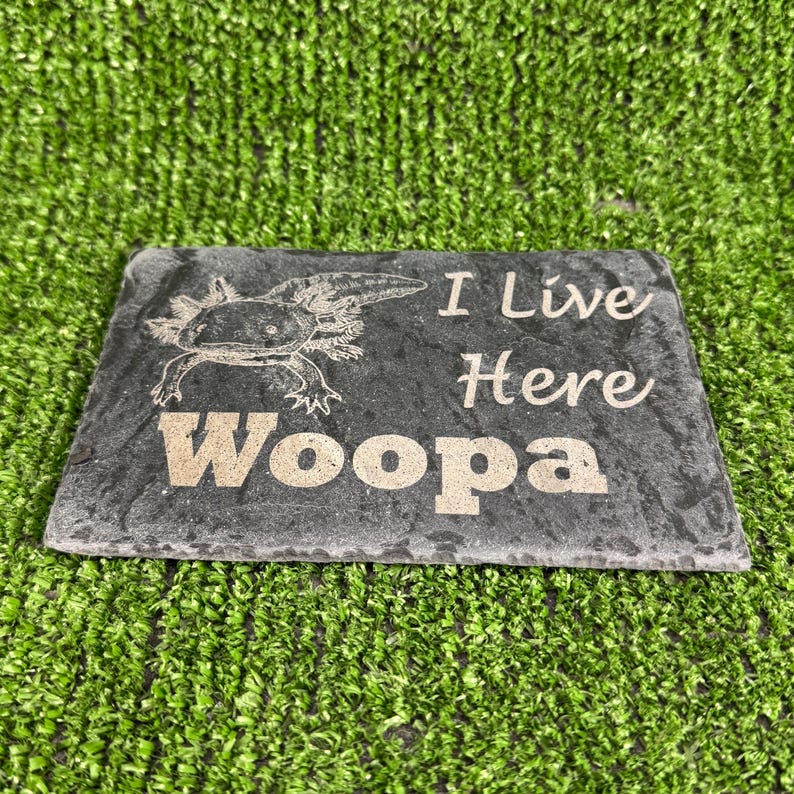 Axolotl 14x9cm Laser engraved untreated slate Plaque Vivarium and Totally Aquarium Friendly free p&p image 12