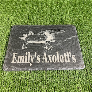 Axolotl 14x9cm Laser engraved untreated slate Plaque Vivarium and Totally Aquarium Friendly free p&p image 13