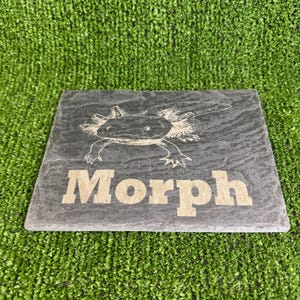 Axolotl 14x9cm Laser engraved untreated slate Plaque Vivarium and Totally Aquarium Friendly free p&p image 11