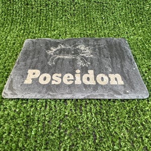 Custom Laser Engraved Slate 20x15cm Reptile Basking Stone, Food & Beak Trimming, Free Postage.
