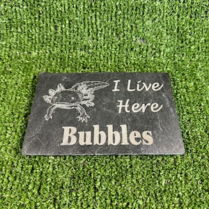 May include: Black slate sign with a white axolotl illustration and the text "I Live Here Bubbles".