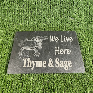 May include: Black slate sign with a white axolotl illustration and the text "We Live Here Thyme & Sage".