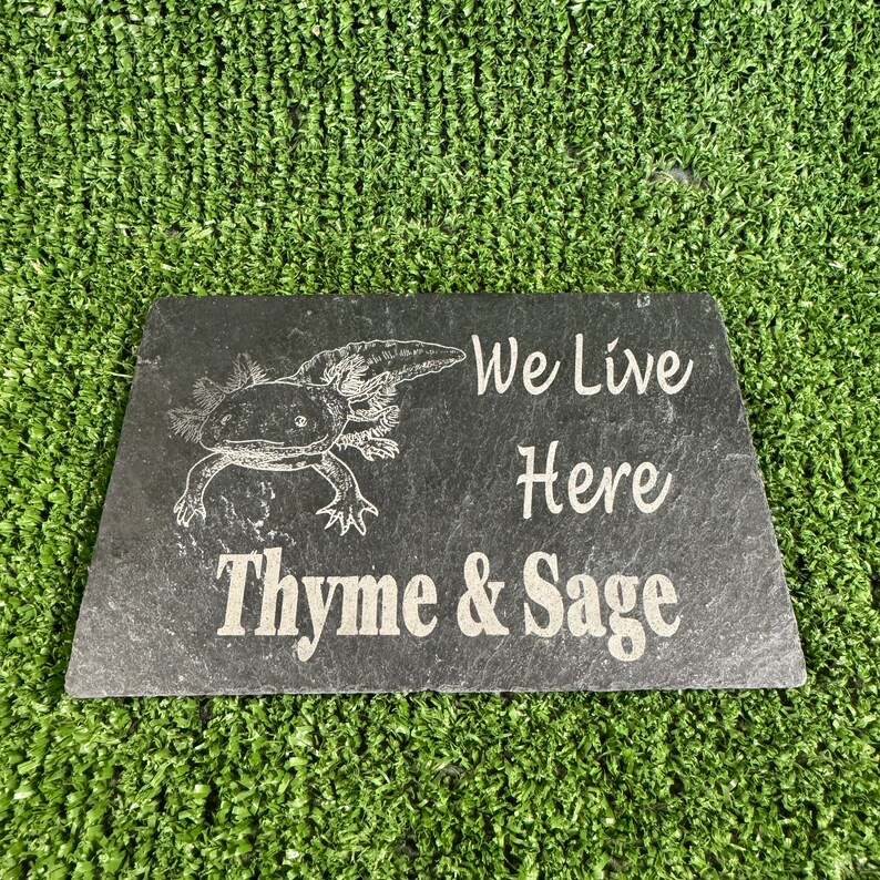 May include: Black slate sign with a white axolotl illustration and the text "We Live Here Thyme & Sage".