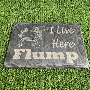 Axolotl 14x9cm Laser engraved untreated slate Plaque Vivarium and Totally Aquarium Friendly free p&p image 10