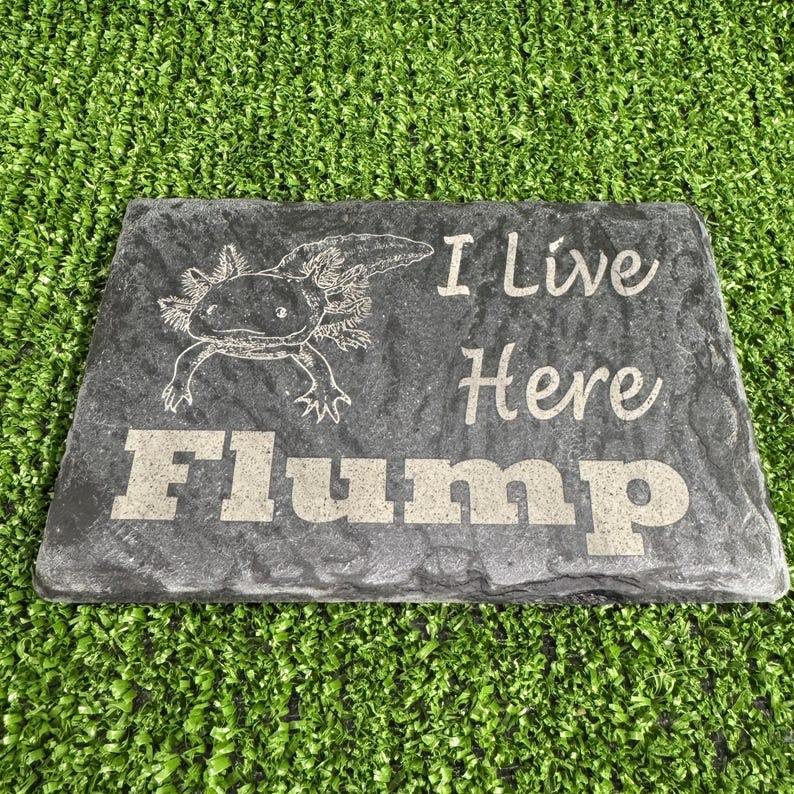 Axolotl 14x9cm Laser engraved untreated slate Plaque Vivarium and Totally Aquarium Friendly free p&p image 10
