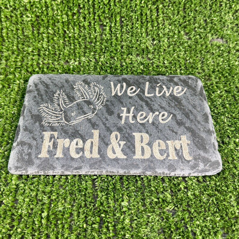 May include: A gray slate stone sign with the text "We Live Here Fred & Bert" engraved in gold lettering. A small axolotl illustration is also engraved on the sign.