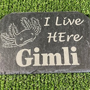 May include: A black slate garden stone with white text that reads "I Live Here Gimli" and a drawing of an axolotl.