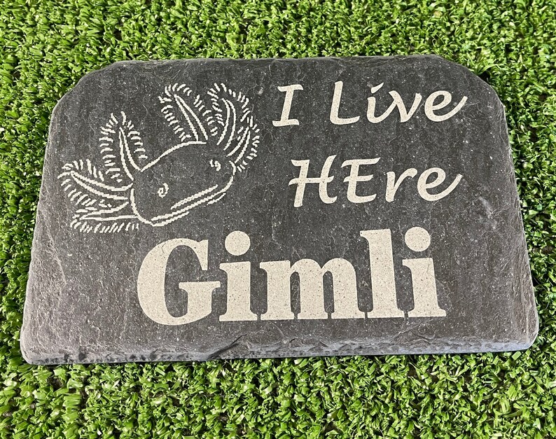 May include: A black slate garden stone with white text that reads "I Live Here Gimli" and a drawing of an axolotl.