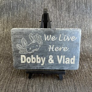 Axolotl 14x9cm Laser engraved untreated slate Plaque Vivarium and Totally Aquarium Friendly free p&p image 14