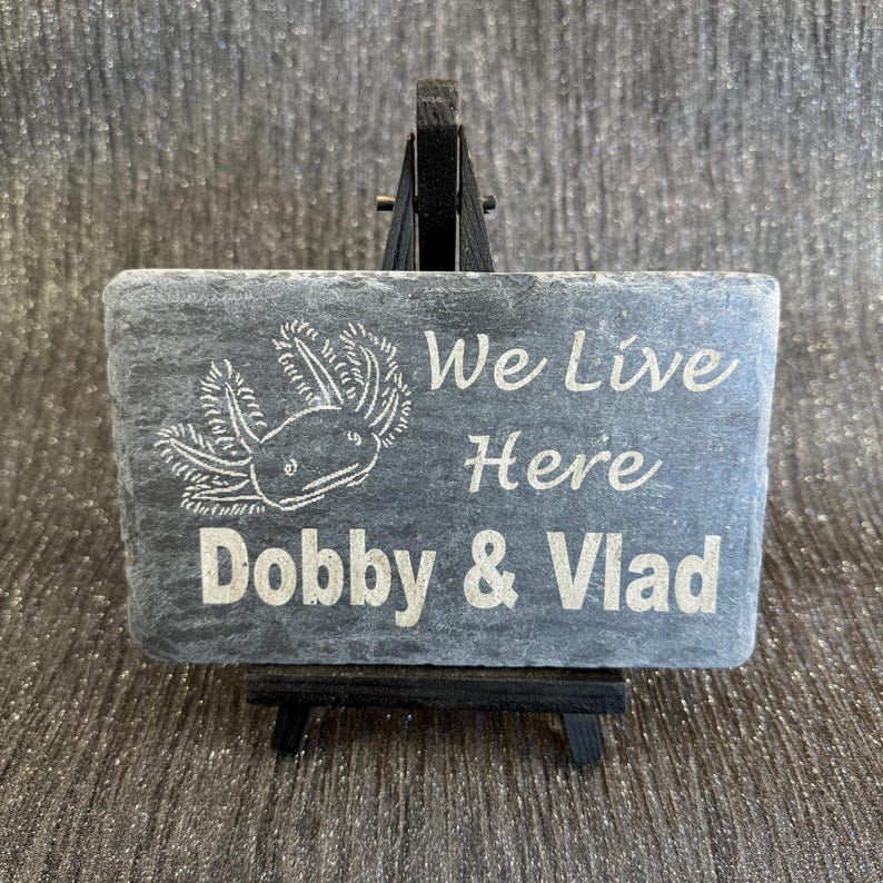 Axolotl 14x9cm Laser engraved untreated slate Plaque Vivarium and Totally Aquarium Friendly free p&p image 14