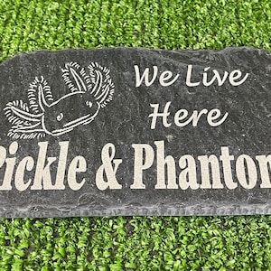 May include: A black slate stone engraved with the text "We Live Here Pickle & Phantom" and a drawing of an axolotl.