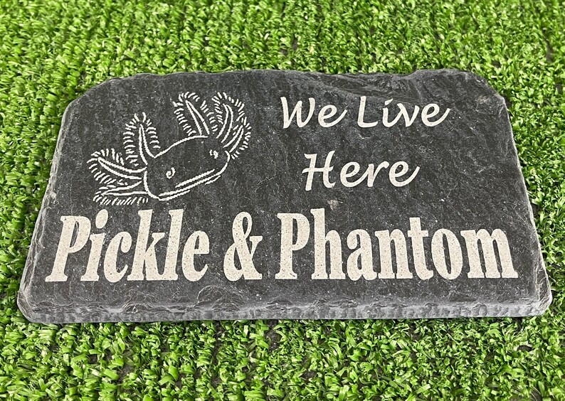 May include: A black slate stone engraved with the text "We Live Here Pickle & Phantom" and a drawing of an axolotl.