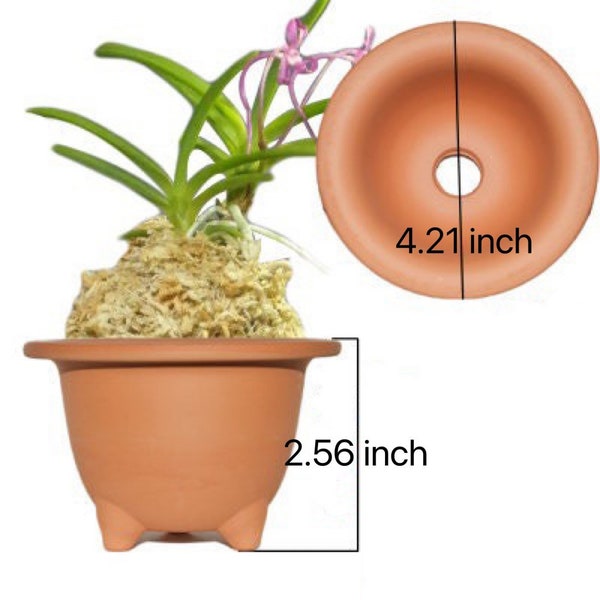 Neofinetia trumpet pots, clay pots, terracotta orchid pot, perfect for Neofinetia falcata/Fukiran/Mini orchids