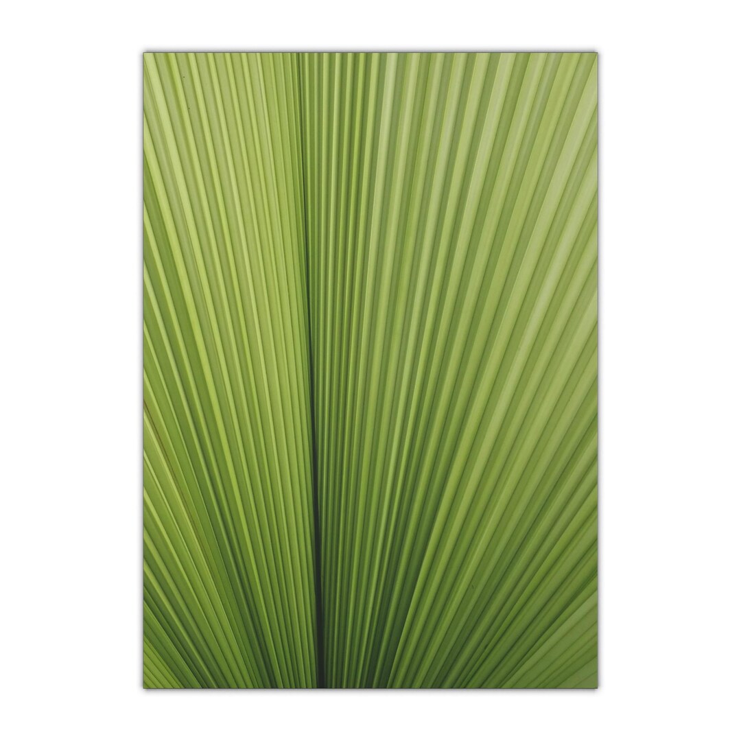 Green Bamboo Design Gift Wrapping Paper Sheets, 1pc - Etsy