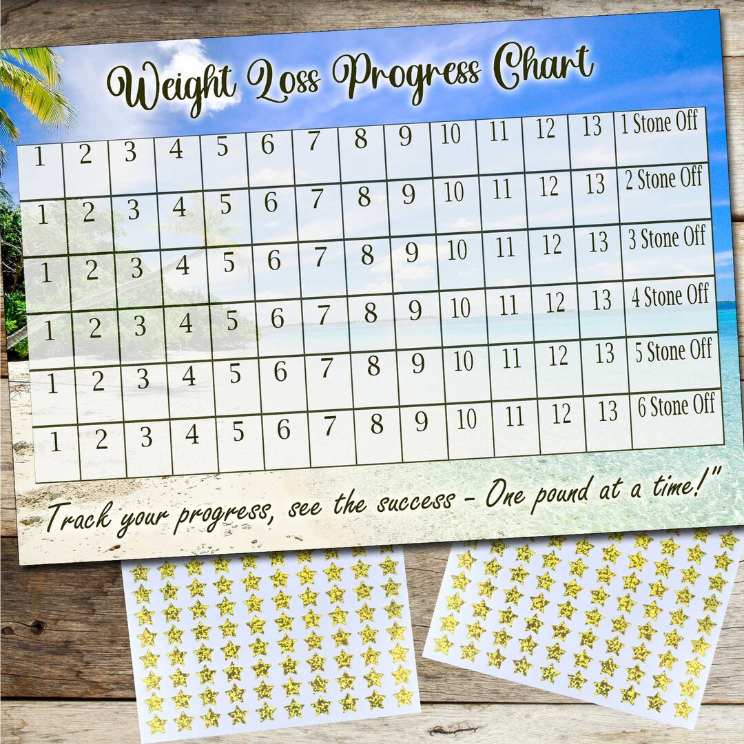 Weight Loss Progress Chart 6 Stone 1 Sheet of Stickers Slimming Target ...