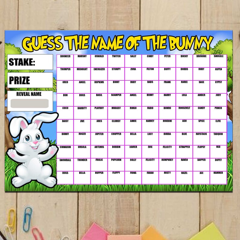 Guess the Name of Bunny Rabbit Fundraising Game Easter Spring Fete ...