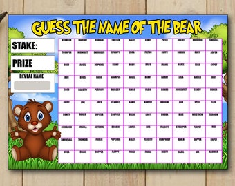 Guess the Name of the Bear Fundraising Game Fete Fayre A4