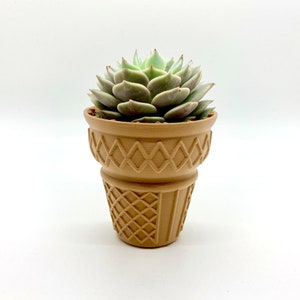 Ice Cream Cone Planter