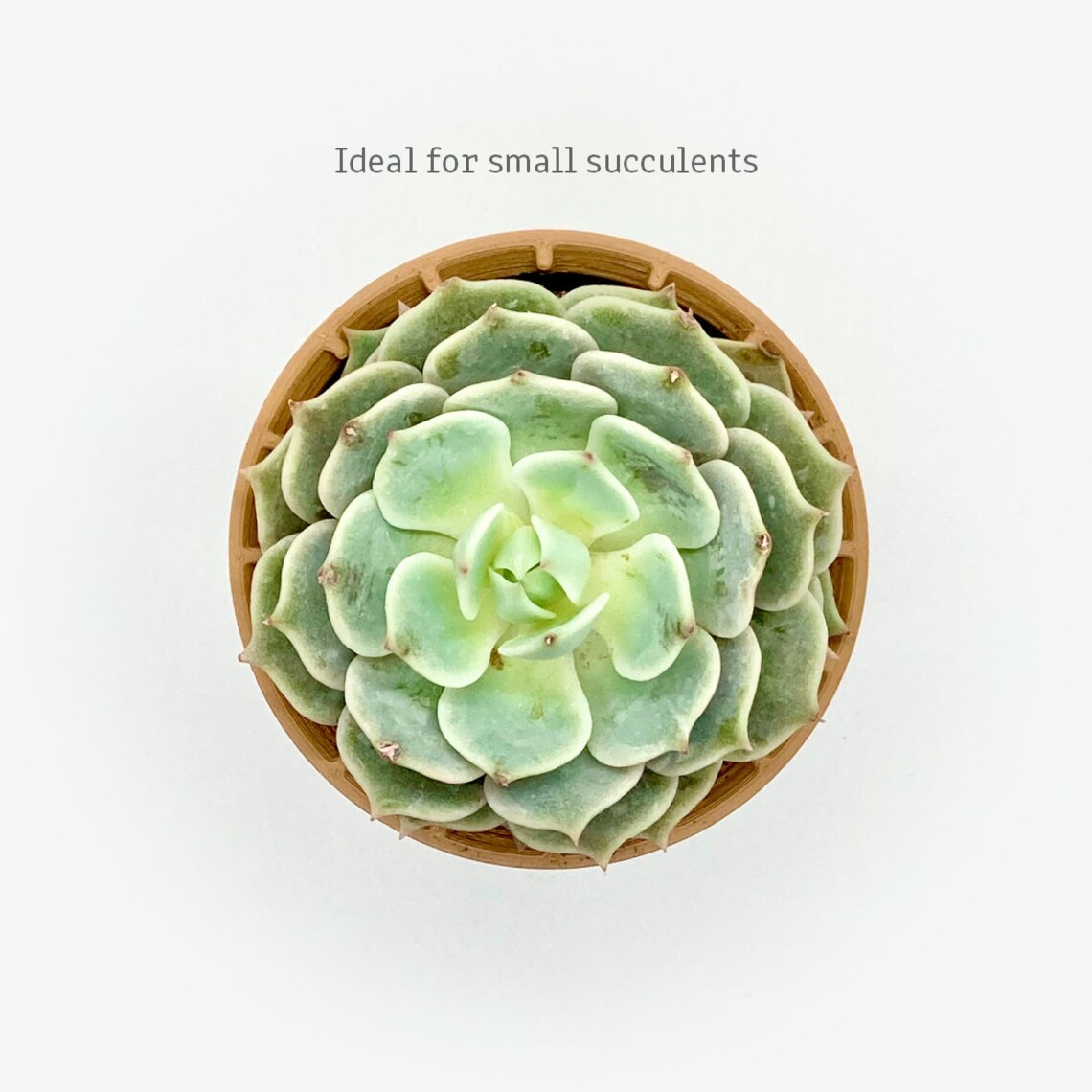 Ice Cream Cone Planter Etsy