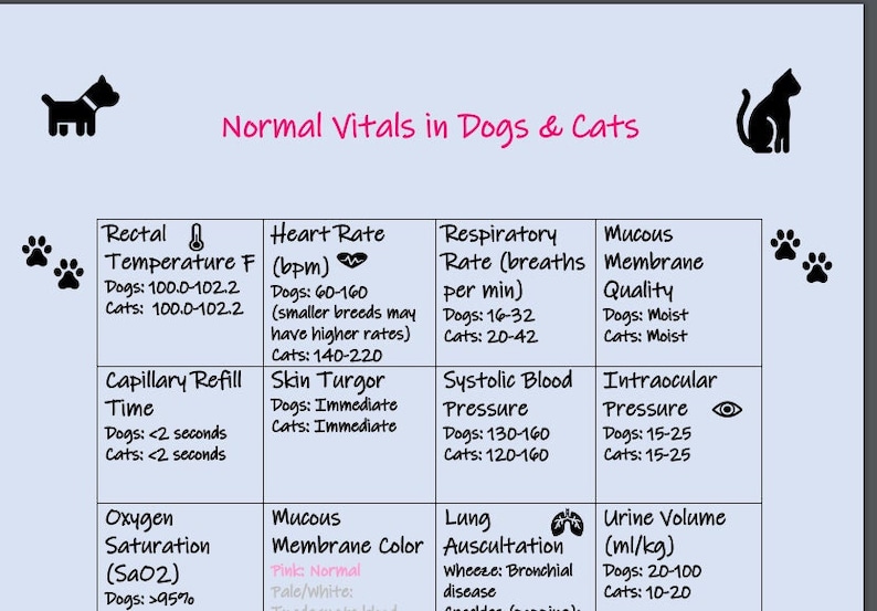 Educational PDF Digital Download Normal Vitals in Dogs/cats Etsy