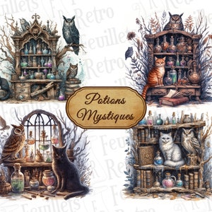 May include: Watercolour illustrations of potion shelves with bottles, books, and owls. A black cat sits on a stack of books. The text "Potions Mystiques" is displayed on a wooden sign.
