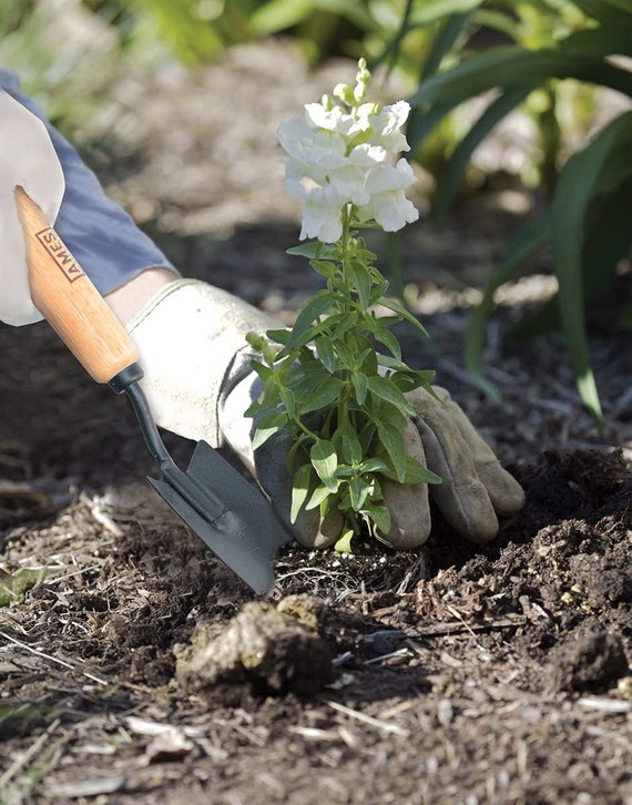 Outils de jardin personnalisés Outils de jardinage Cadeaux de jardinage  pour femmes Jardinage Outils à main Outils de jardin personnalisés Outils  de jardin personnalisés GT-NW-100 -  France